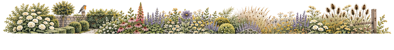 A planting border that runs from clipped hedges and a wall on the left to loose grasses and teasels on the right