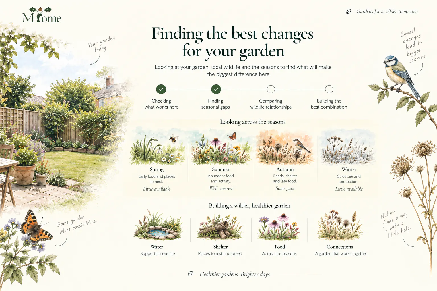 Screen: Finding the best changes for your garden